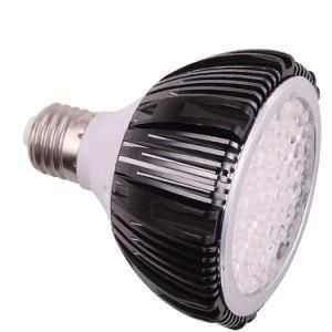 LED Spotlight PAR30 (CR-PAR30)