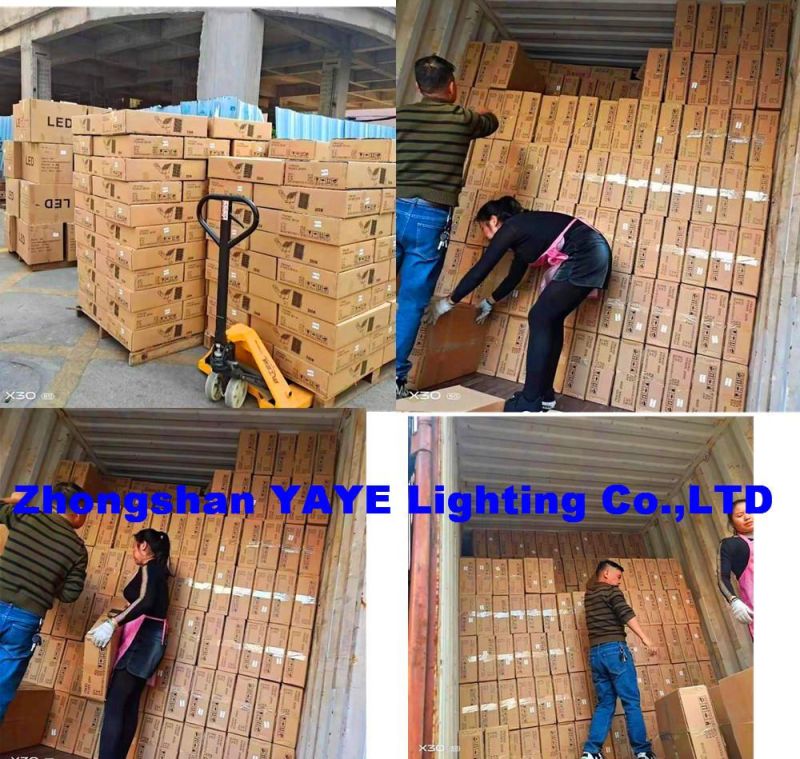 Yaye 2021 Hot Sell 30W/60W/100W/200W Outdoor Integrated Solar LED Flood Garden Lawn Light IP68
