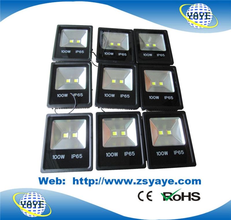 Yaye 18 Top Sell Newest Type Ce/RoHS Approval 100W LED Flood Light / 100W LED Tunnel Lights/ 100W LED Garden Light