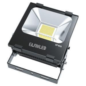 200W Hv Driverless LED Stadium Floodlight