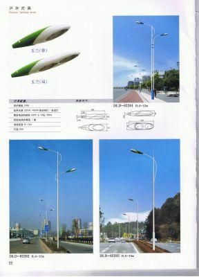 New Great Quality CE Certified Street Light-P22