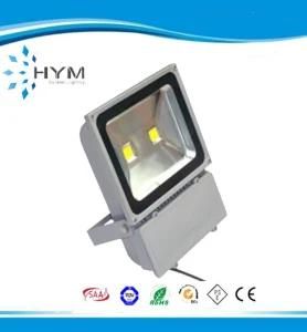 CE RoHS SAA Outdoor LED Flood Light 100W