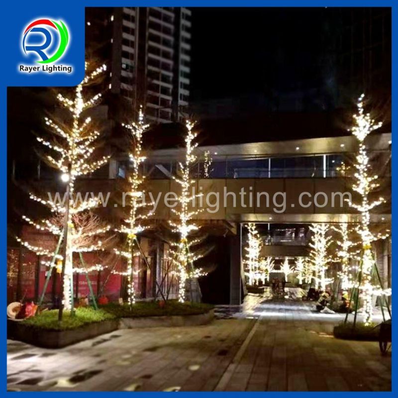 Sunlite Suite 2 DMX Controlled RGB LED Christmas String Lights