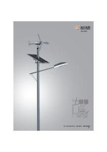 Solar and Wind Street Light