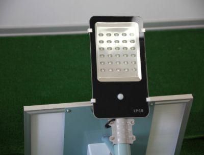 Separated Design IP65 30W LED Solar Light for Garden