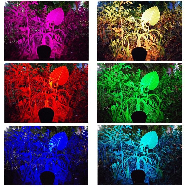 2W/4W Red and Green Laser Light Garden