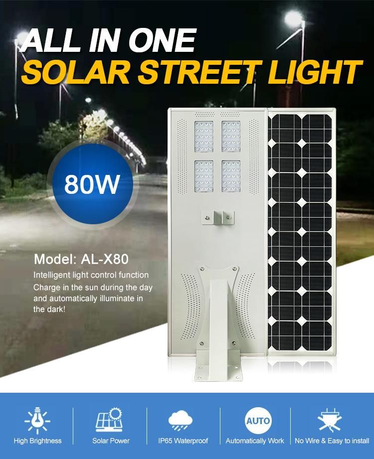 Pole Mounted Time Control 80W Brightness Solar 3030 LED Light