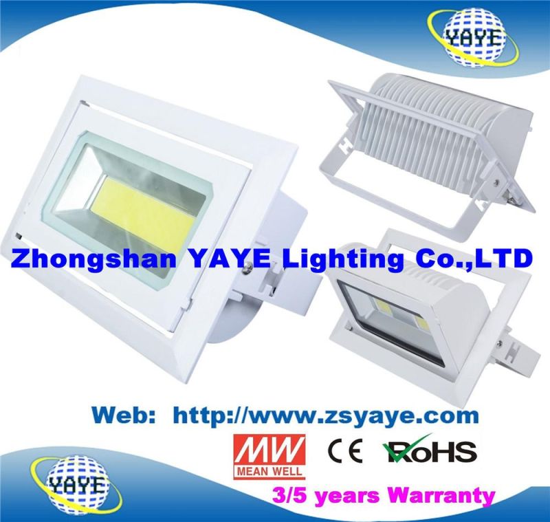 Yaye 18 Top Sell Ce/RoHS Approval COB 30W LED Projector / COB 30W LED Flood Light /COB 30W LED Downlight