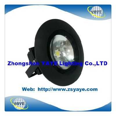 Yaye Hot Sell 2014 Newest Design 10W 15W LED Floodlight LED Garden Light LED Spotlight