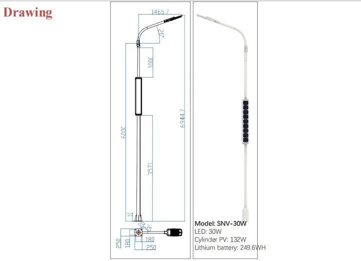 30W LED Vertical Solar Street Light Post (SNV-30W)