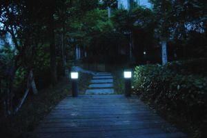 Solar Garden LED Spike Lawn Light