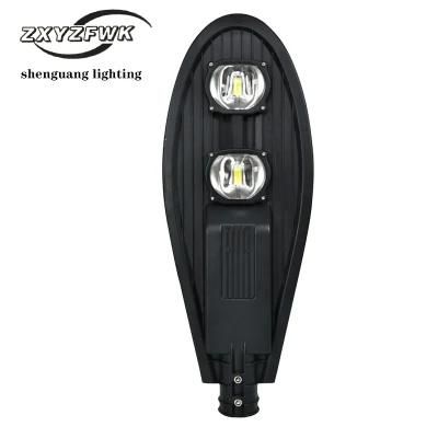 100W Factory Wholesale Price Two-Head Sword Outdoor LED Street Light