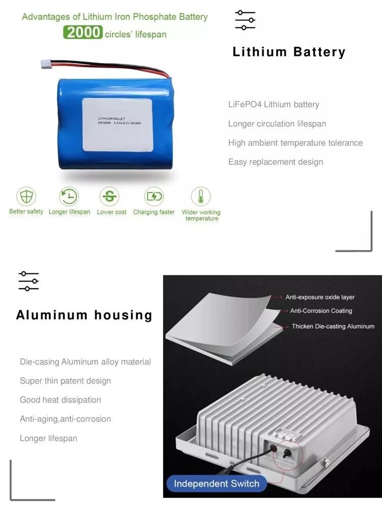 Sfl04-30W Solar Flood Light with Motion Sensor