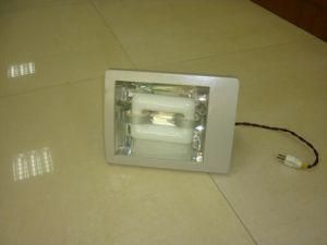 Induction Floodlight (BZ-TG004)