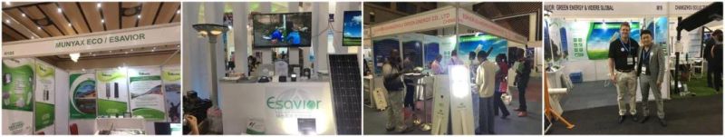 80W Solar-Powered LED Street Solar Powered with Microwave Motion Sensor Light