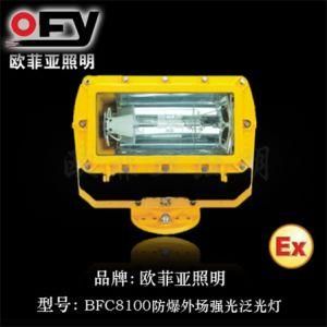 Outdoor Hi-Lite Floodlight (BFC8100)