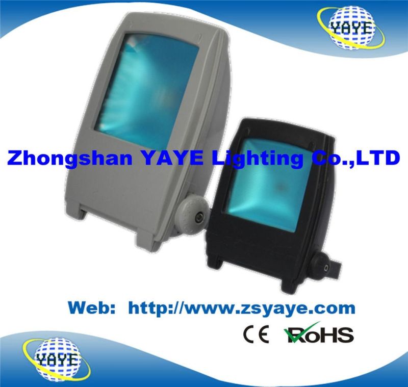 Yaye 18 Hot Sell COB 10W LED Wall Washer / LED Outdoor Lights / LED Floodlight with Ce & RoHS