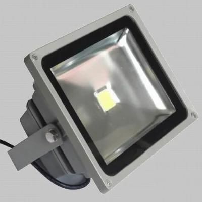 Landscape Light 50W LED Lamp