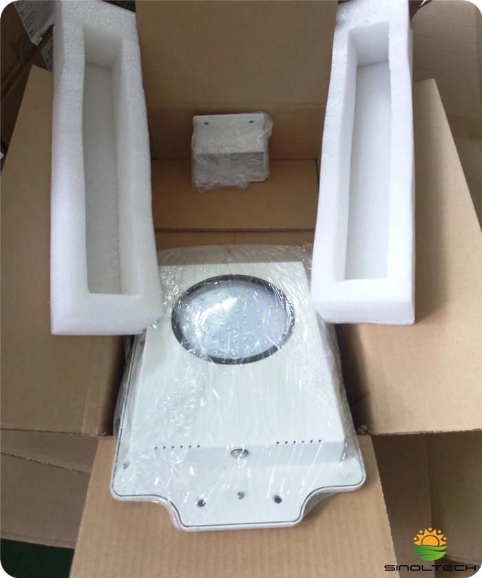 Motion Sensor 6W LED Integrated Solar LED Garden Lamp (SNSTY-206)