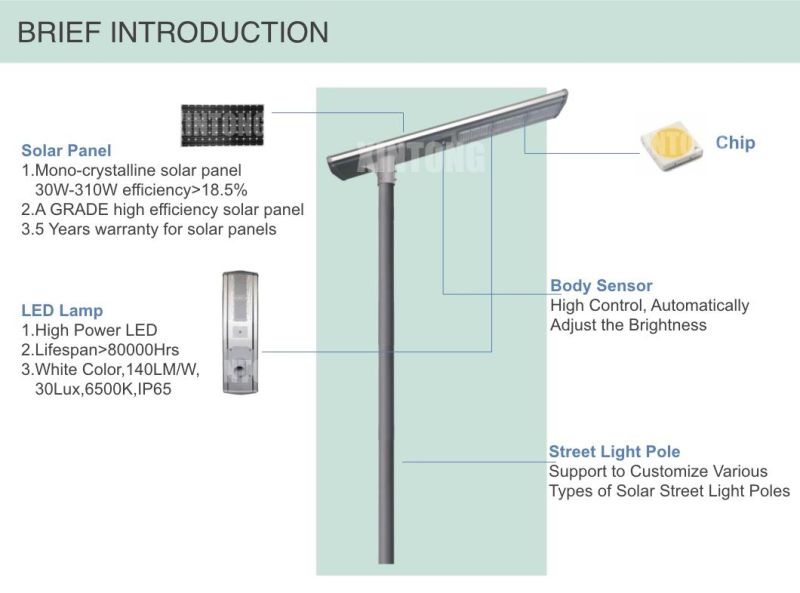 Low-Cost 40W Solar LED Street Light with MPPT Controller