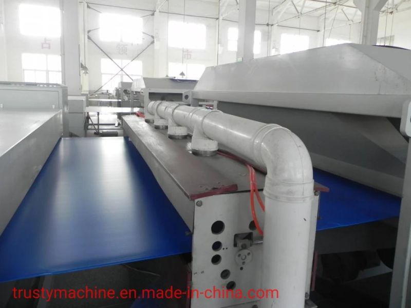 PP, PE Plastic Hollow Plate/Board Extrusion Machinery