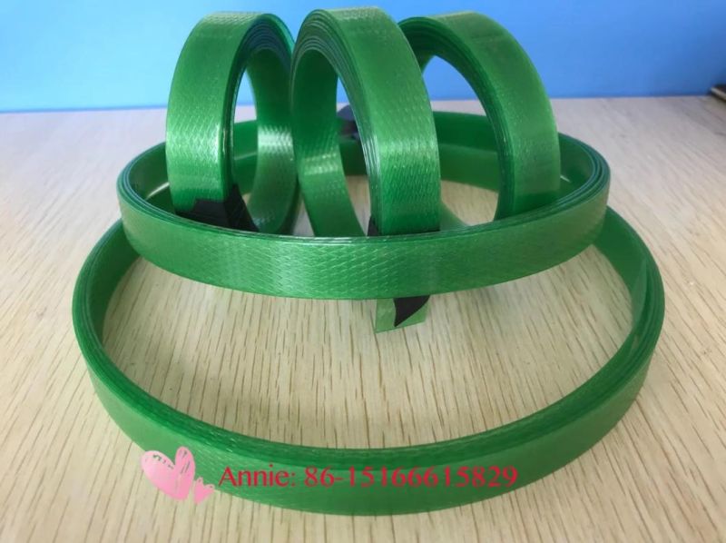 China Factory Pet Packaging Strap Bandtape Extrusion Machine by Recycled Pet Bottle Flakes