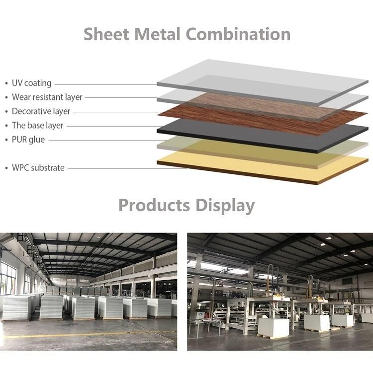 WPC Foam Board Floor Extrusion Production Line / Machine/ Extruder