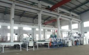 Pet Sheet Extrusion Line