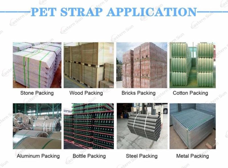 Packing PP Pet Strap Band Extrusion Machine Production Machine with Extrusion Screw Mould Head Double