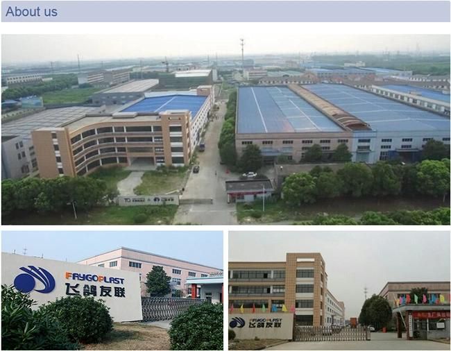 6500bph High Speed Automatic Pet Bottle Blowing Machine