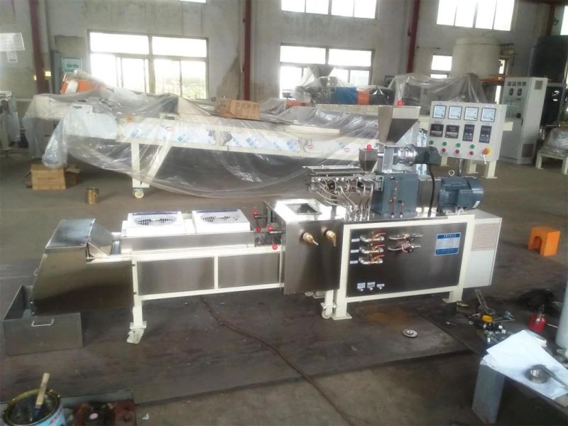 Twin Screw Extruder for Electrostatic Powder Coating Lines