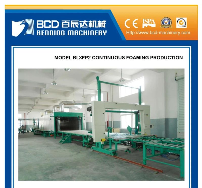 Continuous Foaming Production Machine Line (BLXFP)