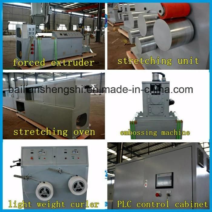 2 Lines Produce Pet Strap Making Machine