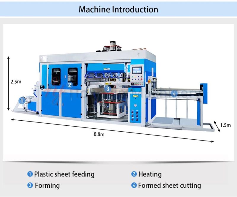 Plastic Pet Box Vacuum Thermoforming Machine