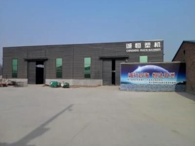 Twin Dies Film Blowing Machine with Onlin Printer