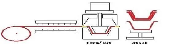 Multi Function Plastic Water Milk Coffeecup Food Containers Products Thermoforming Machine for PP PS Pet Material