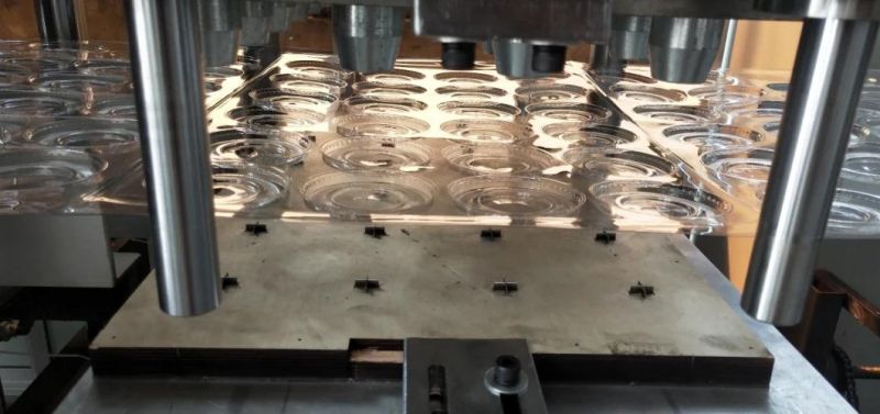 Plastic Seedling Tray Making Machine PS Slot Lid Forming Machine