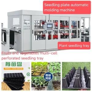 Automatic Blister Forming Machine Plastic Tray Seedling Hole Plate Production Equipment ...