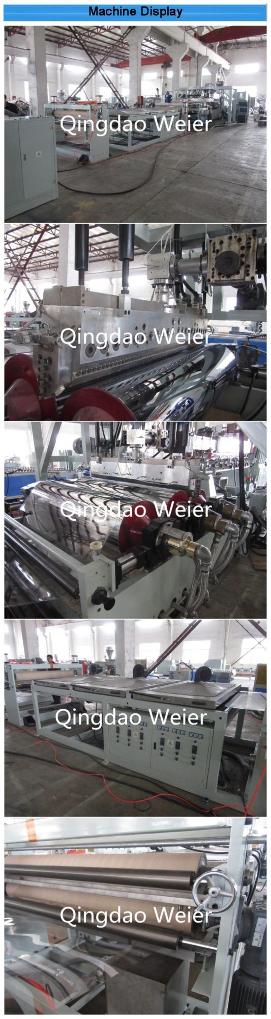 Single Multi Layer Pet Sheet Extrusion Machine Line Twin Screw Extruder