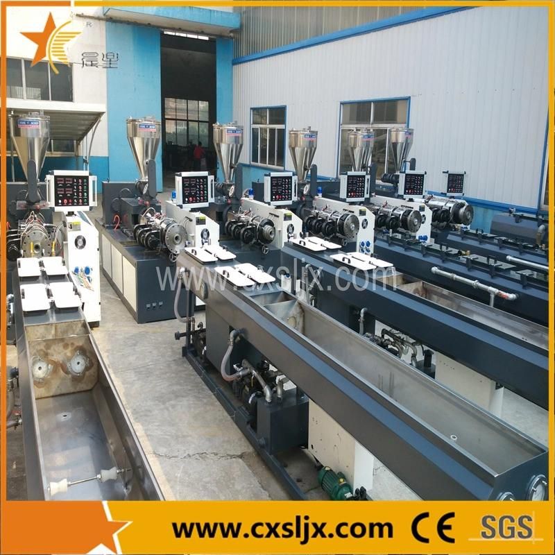 S049 One Extruder Two Pipe PVC Double Pipe Extrusion Line (CXDB-50)