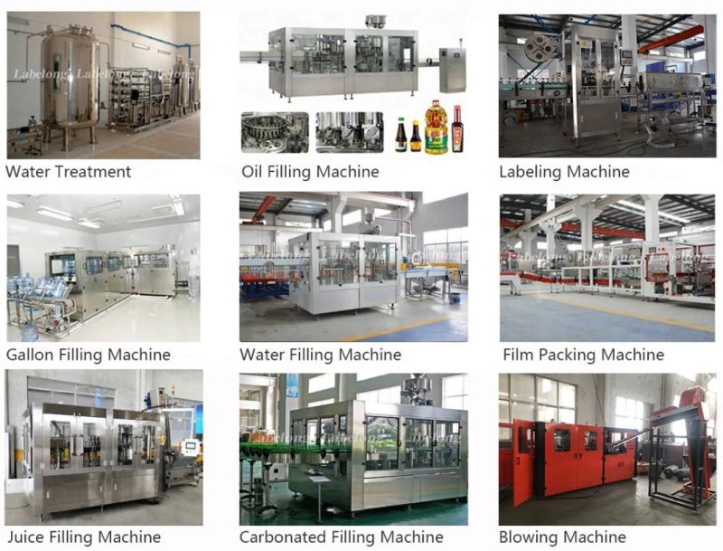 800-1000bph Semi-Automatic Plastic Bottles Molding Machine