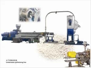 Twin Screw Extruder (SHJ-95)