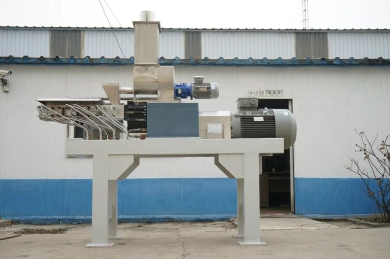 Conventional Type Co-Rotation Parallel Twin Screw Extruder Powder Coating Made