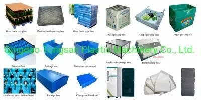 Plastic Packing Box Hollow Sheet Extrusion Machine