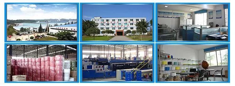 Strap Band Production Line Strapping Pet Packing Belt Extrusion Machine