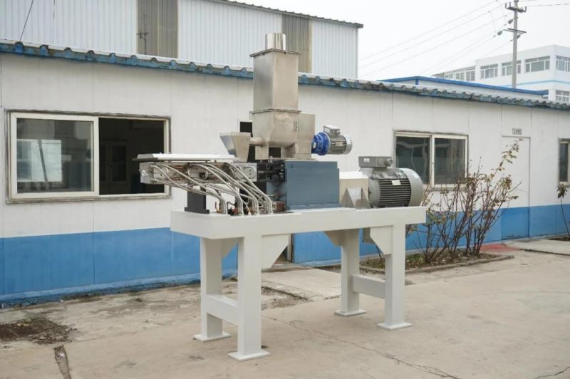 Extruder Twin Screw Extruder for Powder Coating Paint