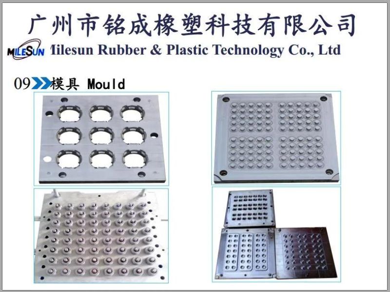 Customized Compression Mould Complex Plastic & Rubber Injection Molding