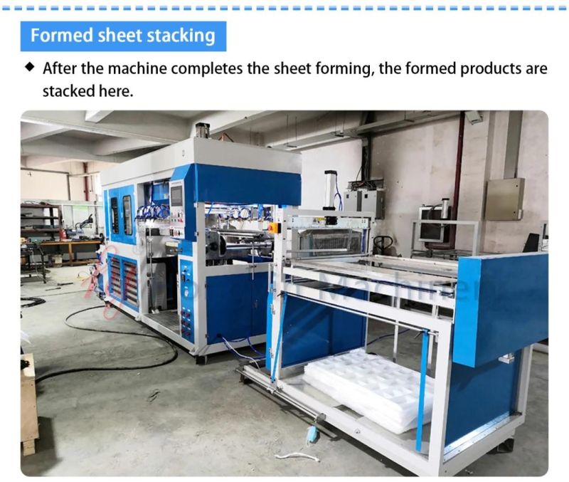 Plastic Vacuum Forming Machine for Disposable Pet Egg Trays