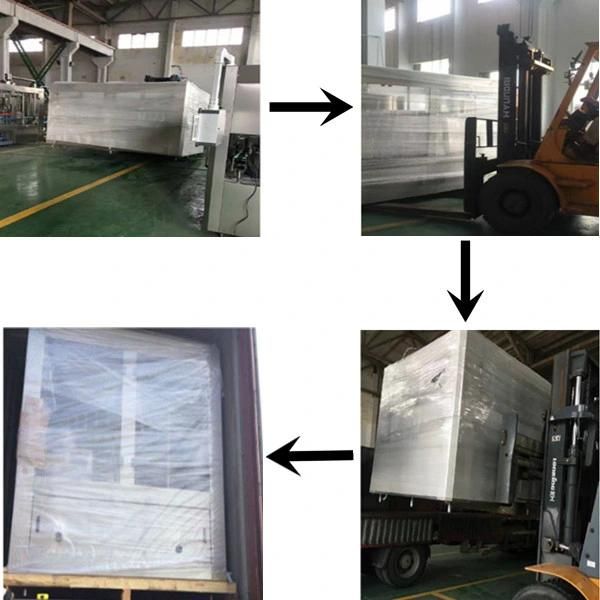 Automatic Blow Molding Machine for Pet Bottles, China Manufacturer