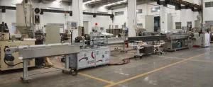 Precise Soft Tube Extrusion Line